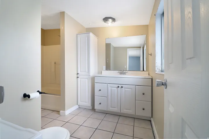 Vanity and Linen Cabinet