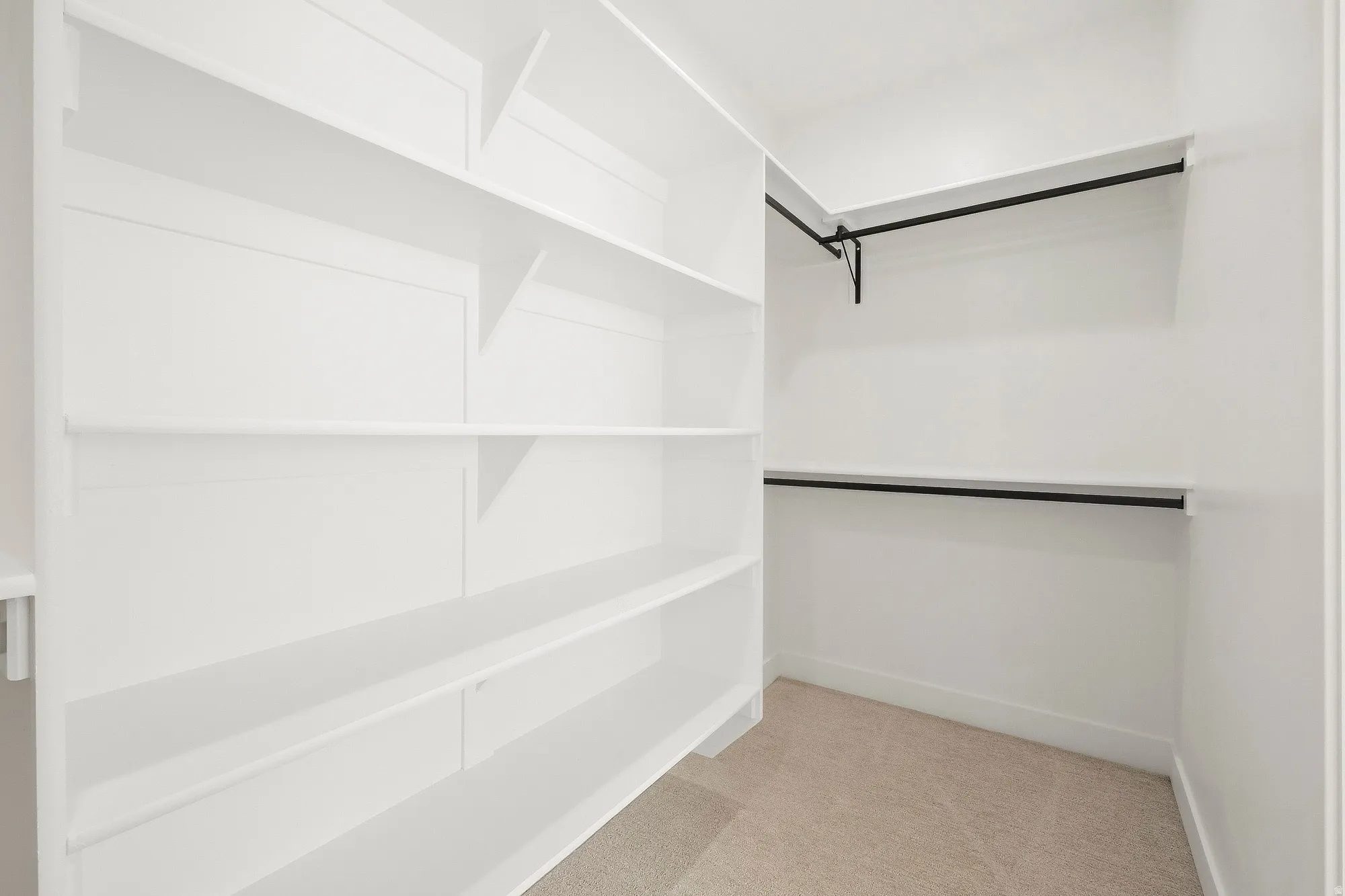 Built-in shelving, hanging rods, and carpet flooring