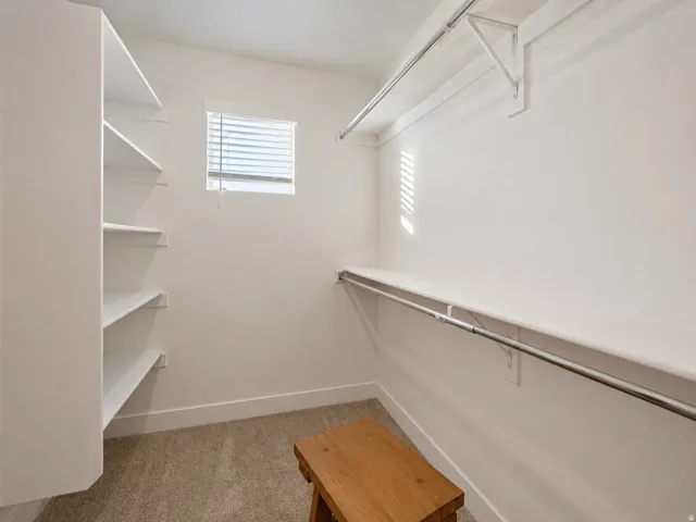 Spacious walk-in closet featuring built-in shelving, carpet flooring, a window with blinds, and multiple clothing rods