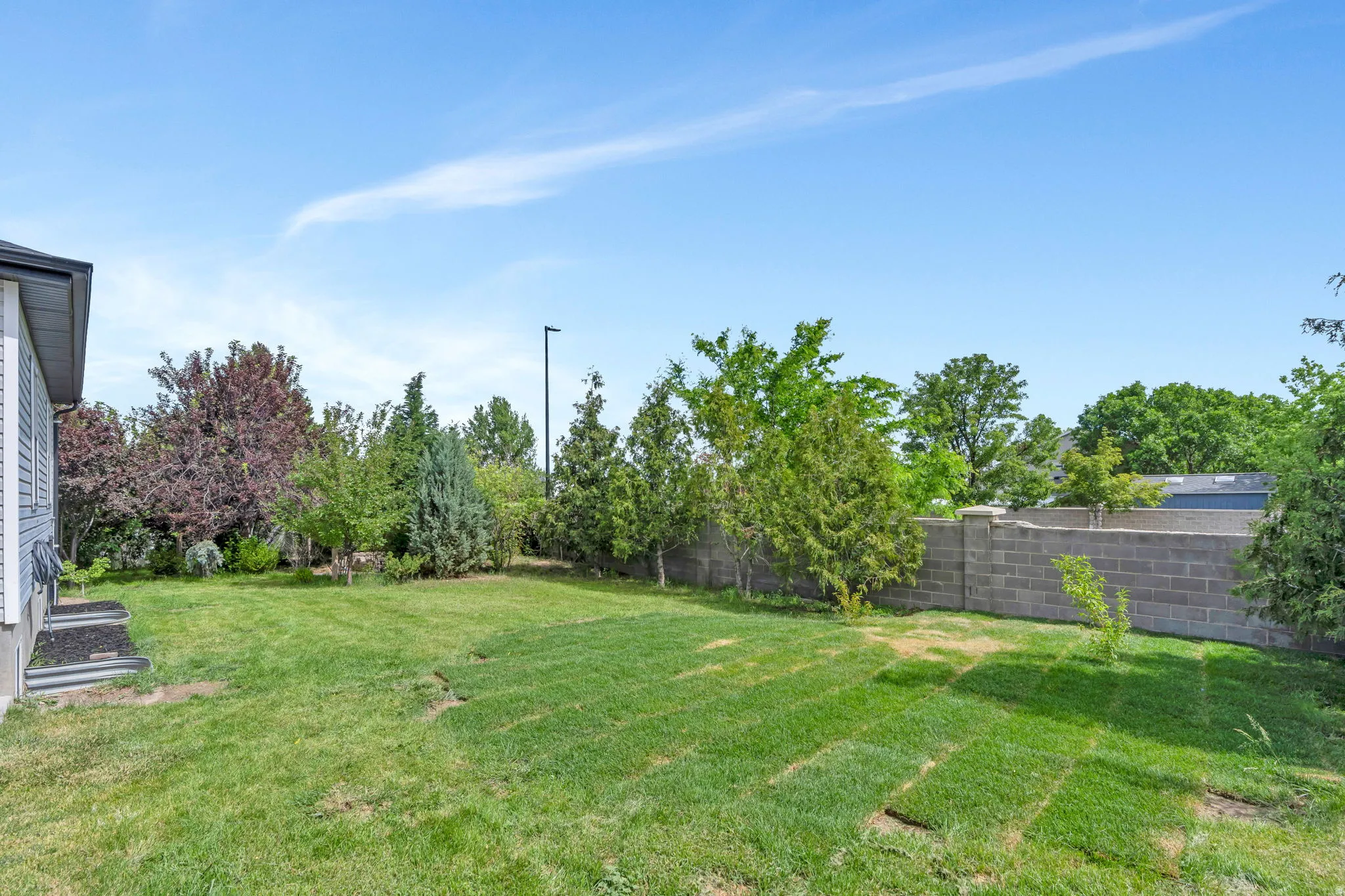Expansive lawn area featuring new sod sections, mature trees, and a block privacy wall