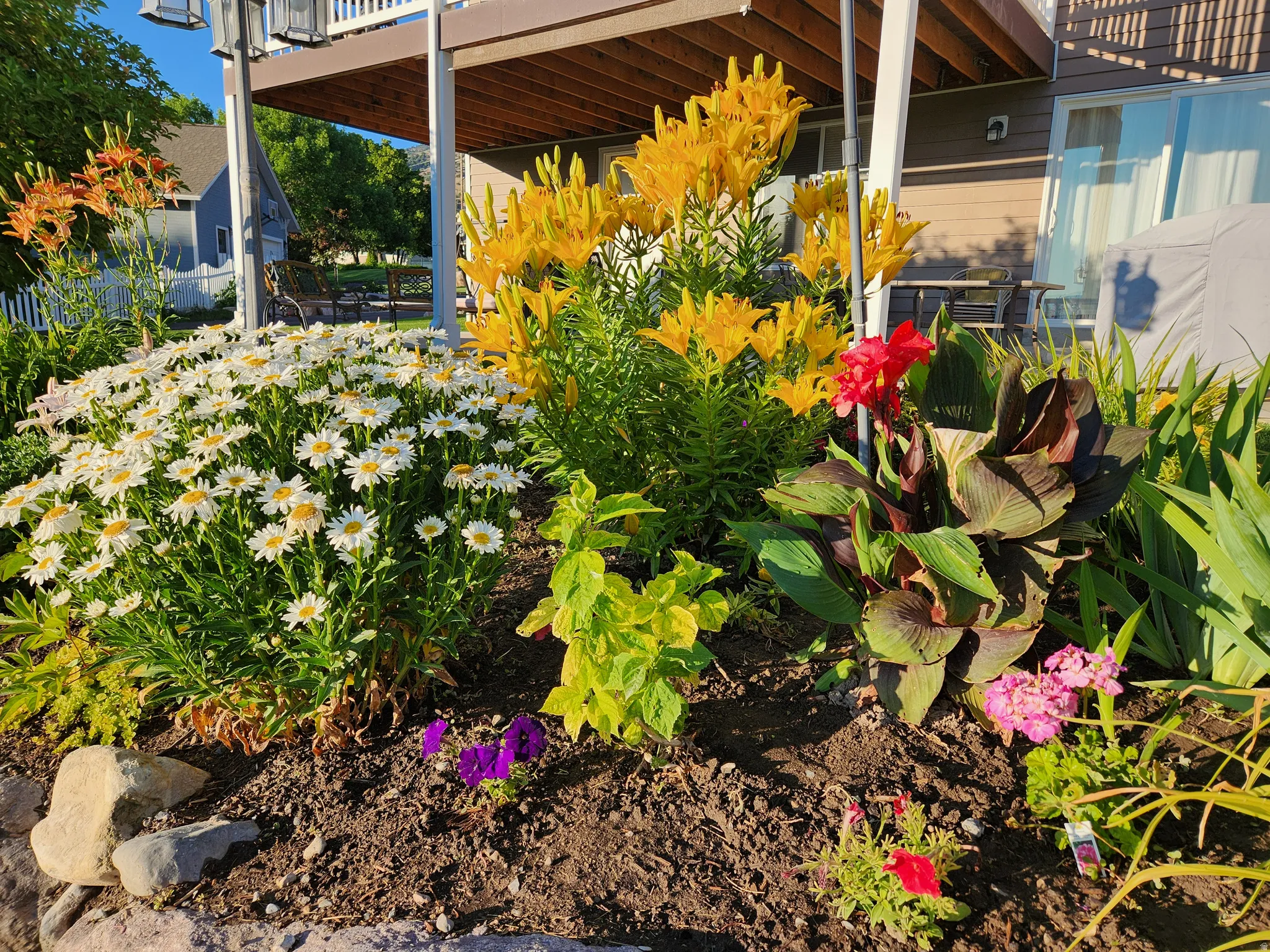 Vibrant landscaping featuring an assortment of colorful flowers and established plantings