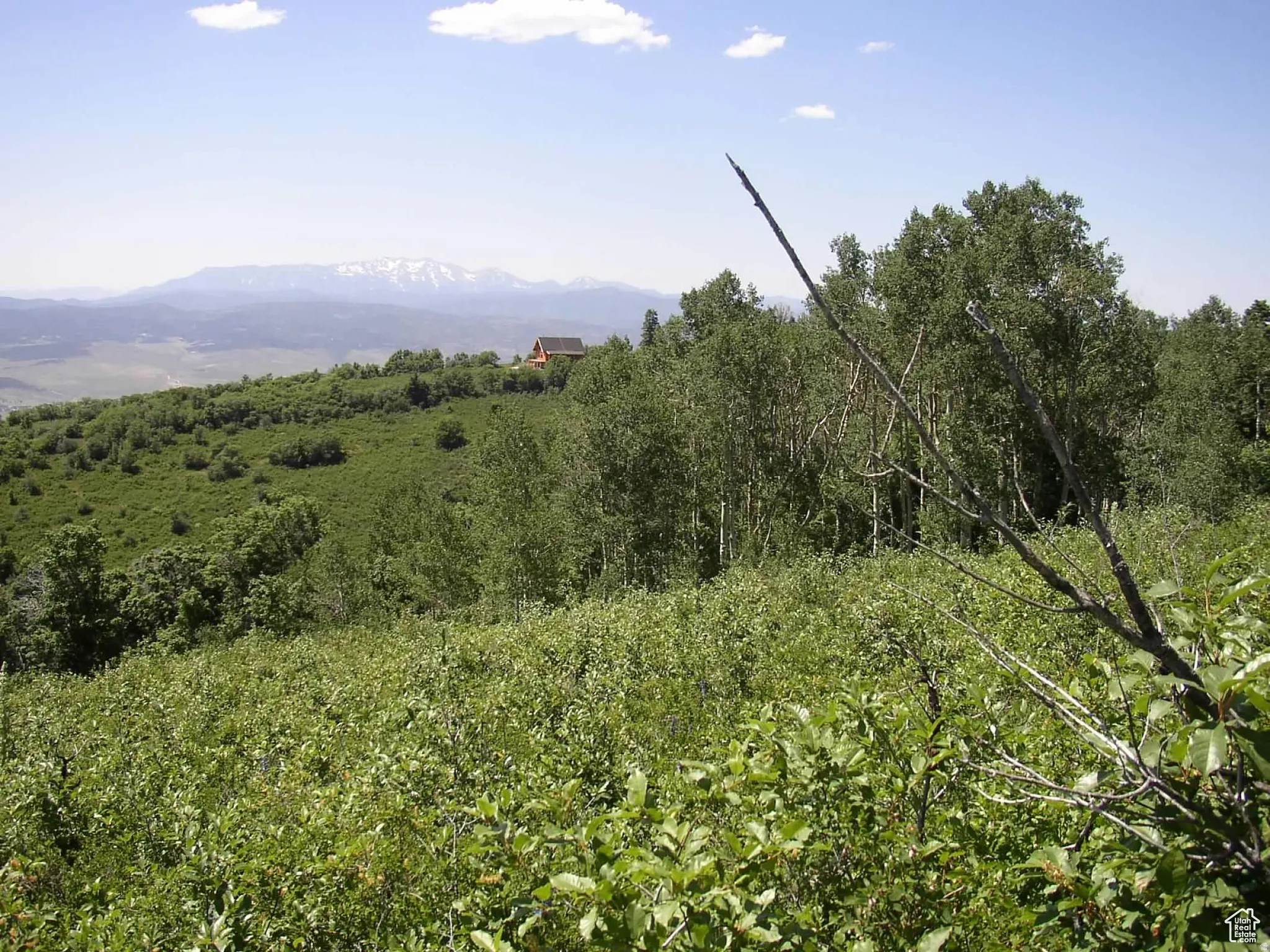 Distant mountain range