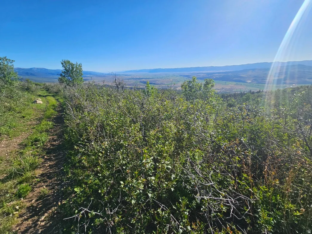 Rolling hillside property with a defined dirt path, abundant green foliage, and distant mountain scenery