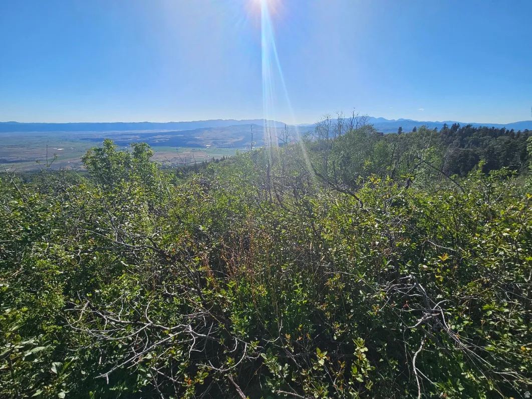 Expansive natural landscape featuring lush green foliage and distant mountain ranges