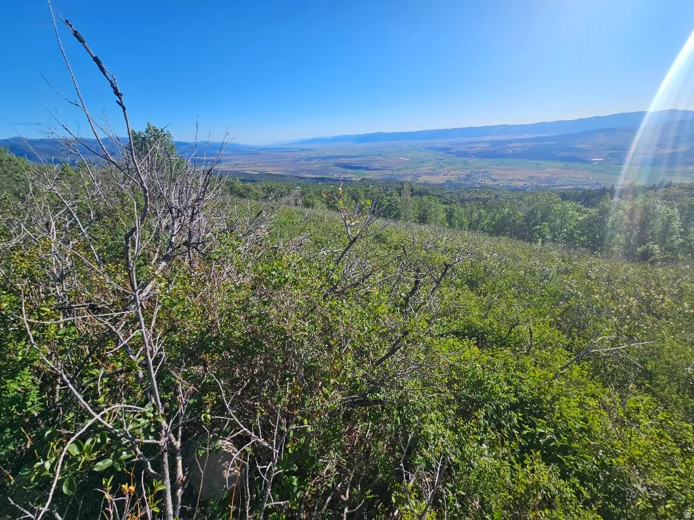 Expansive natural landscape featuring lush green foliage and distant mountain ranges under a clear blue sky