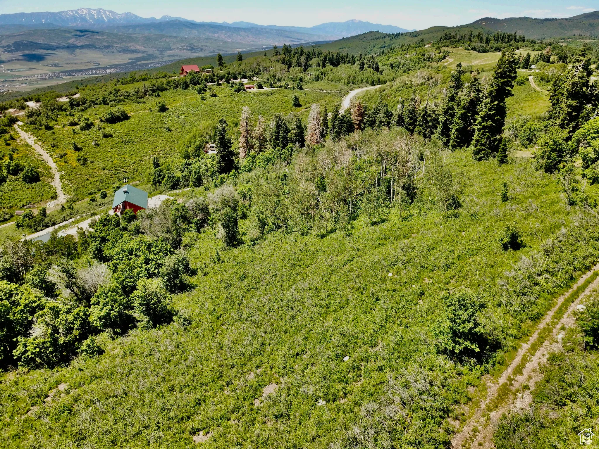 Expansive natural landscape featuring rolling hills and abundant greenery