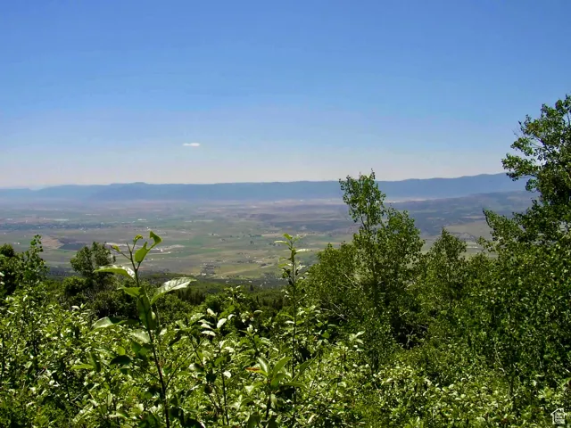 View of the valley