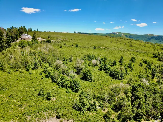 23165 N Hillside Dr, Fairview, Utah 84629
