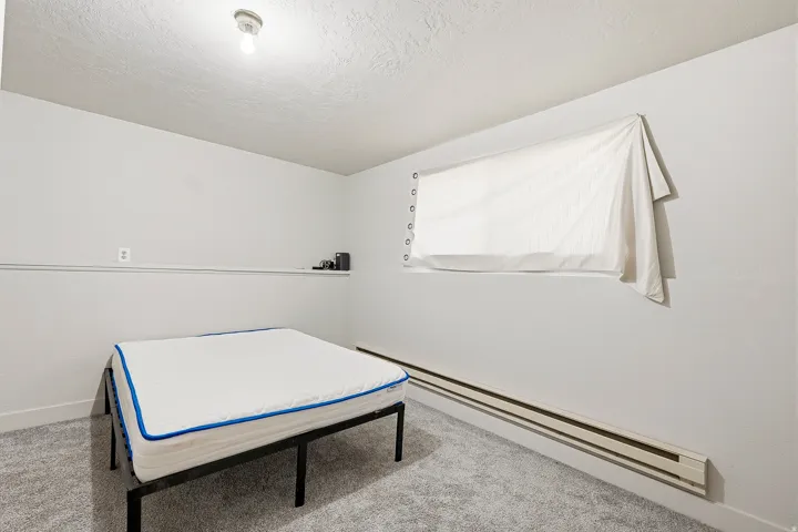Neutral-toned room featuring light gray walls and plush gray carpeting