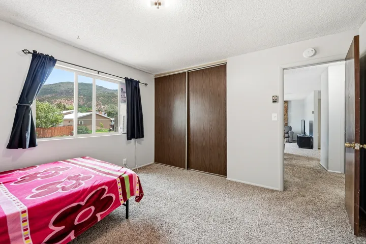 Carpeted room featuring a large window with mountain scenery, a double sliding wood-finish closet, and a neutral wall color