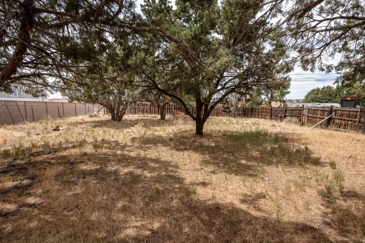 Expansive backyard area featuring mature evergreen trees, a mix of wood and chain-link fencing, and a natural ground cover