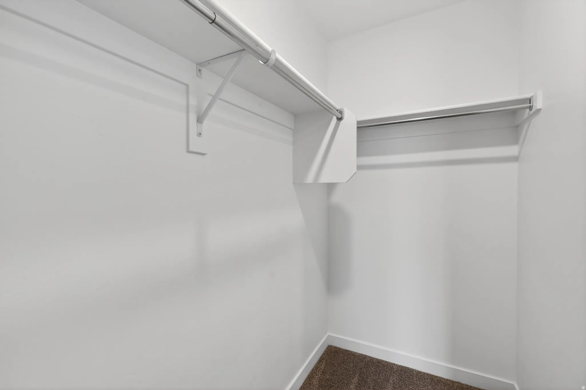 Walk-in closet with white walls, carpet flooring, a high-mounted metal hanging rod, an upper shelf, and additional wall-mounted shelving