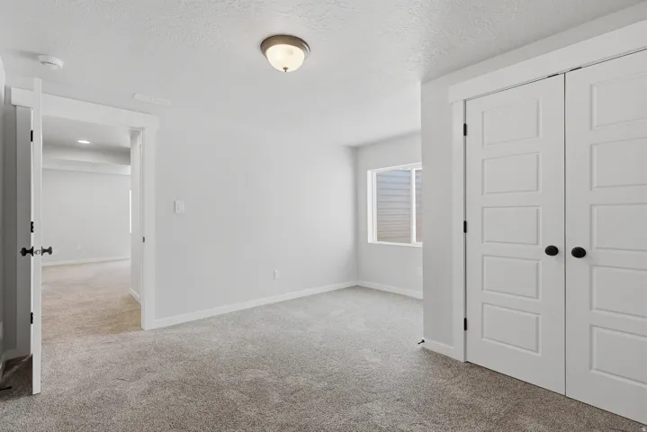 Neutral toned room featuring plush carpeting, a single window, and a pair of panel doors with matte black hardware