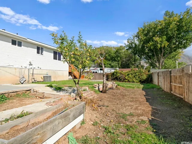 Expansive backyard featuring a mature fruit tree and a wooden privacy fence