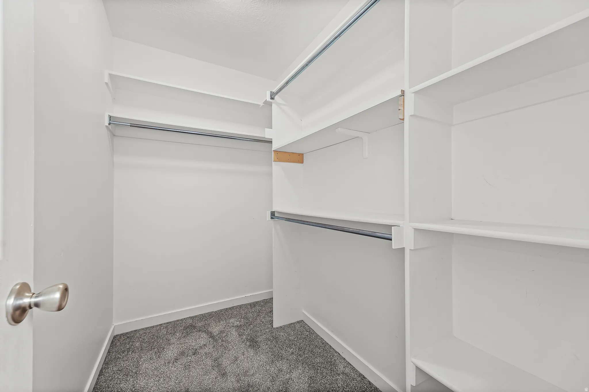 Walk-in closet featuring white built-in shelving, multiple hanging rods, and gray textured carpeting