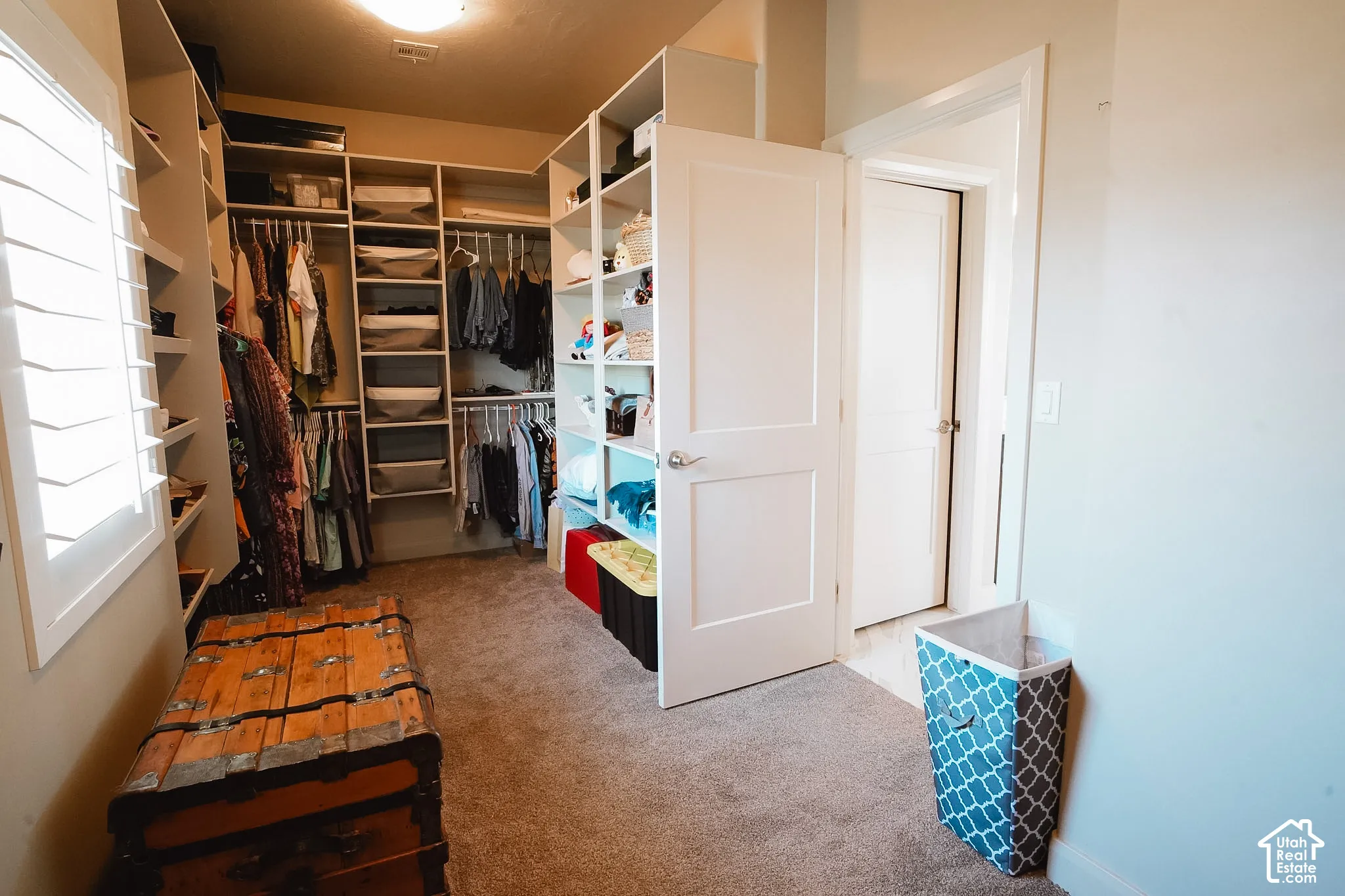 Custom closet system featuring extensive shelving, multiple hanging rods, built-in drawer units, and carpet flooring