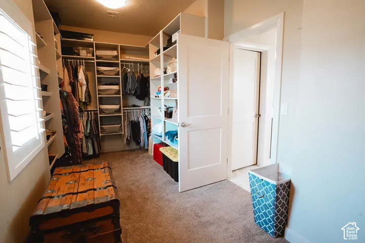 Custom closet system featuring extensive shelving, multiple hanging rods, built-in drawer units, and carpet flooring