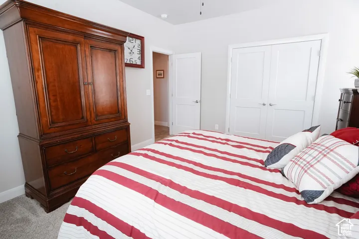 Neutral wall paint, plush carpet flooring, and white double-panel doors
