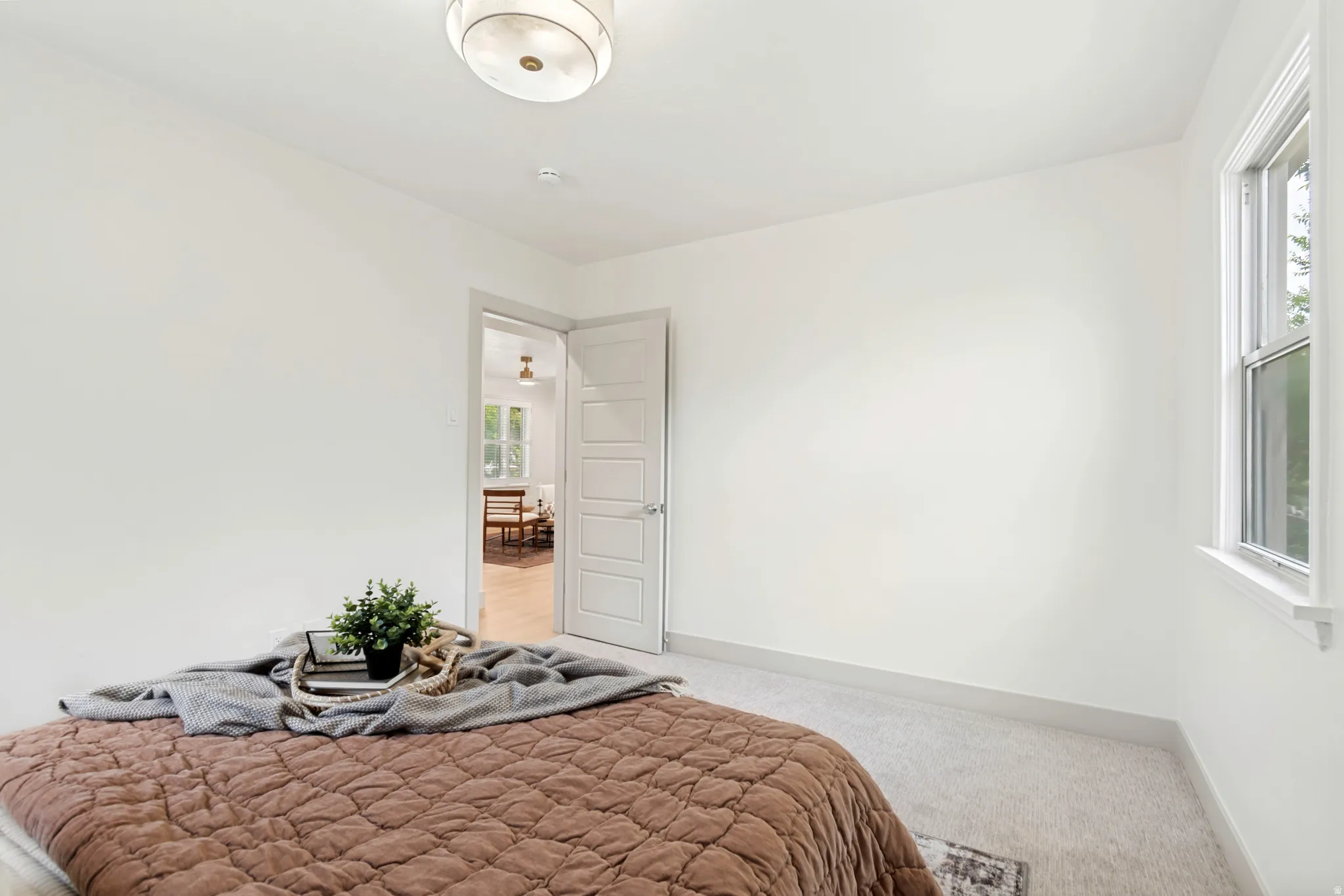 Neutral color palette featuring soft carpet flooring, a single window, and a flush-mount ceiling light fixture