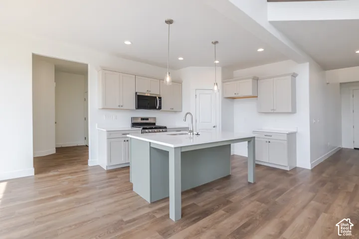 Kitchen featuring a central island, light-toned cabinetry, stainless steel appliances, and wood-finish flooring