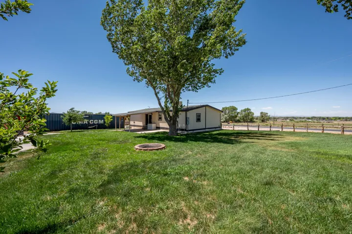 Expansive green lawn with a mature shade tree, featuring a stone-lined fire pit