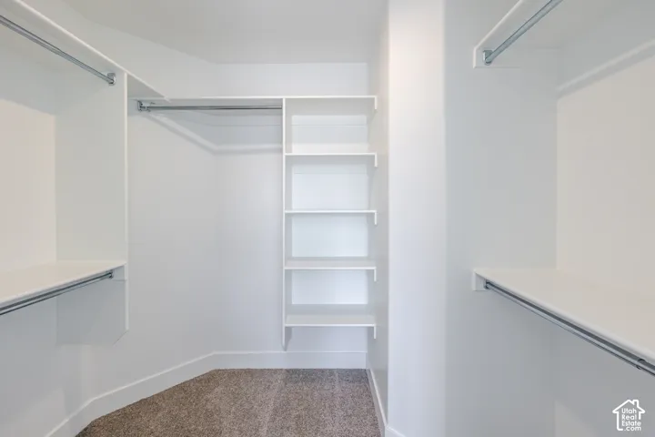 Walk-in closet with built-in shelving, multiple hanging rods, and carpet flooring