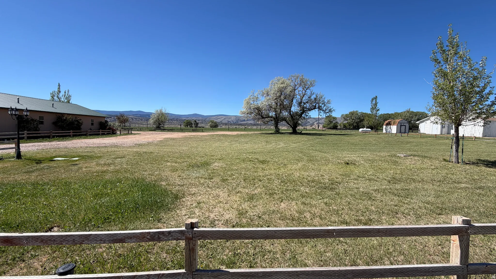 Expansive open field with scattered mature trees and distant mountain ranges