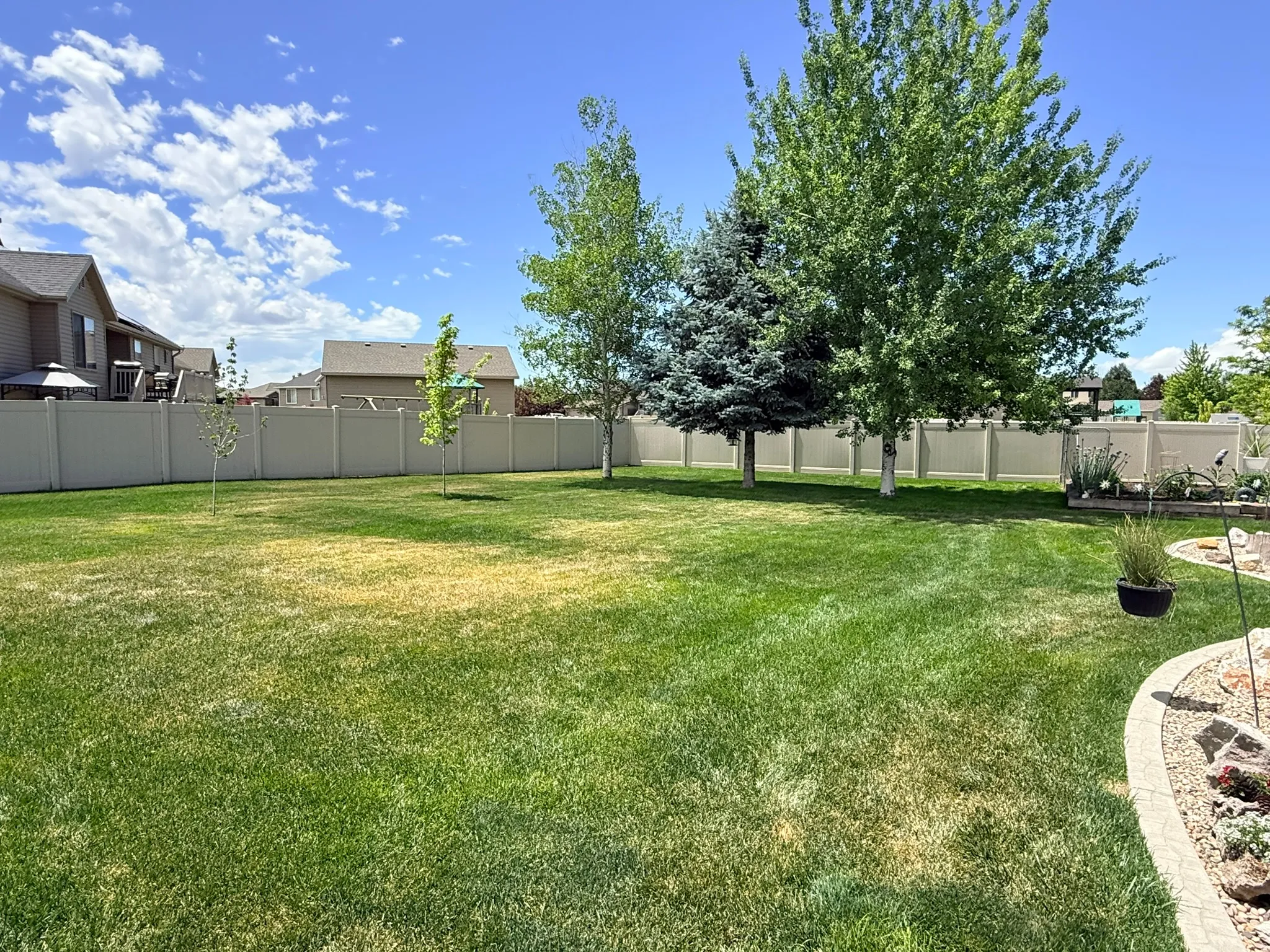 Expansive backyard featuring a manicured lawn, established trees, and a full-height privacy fence