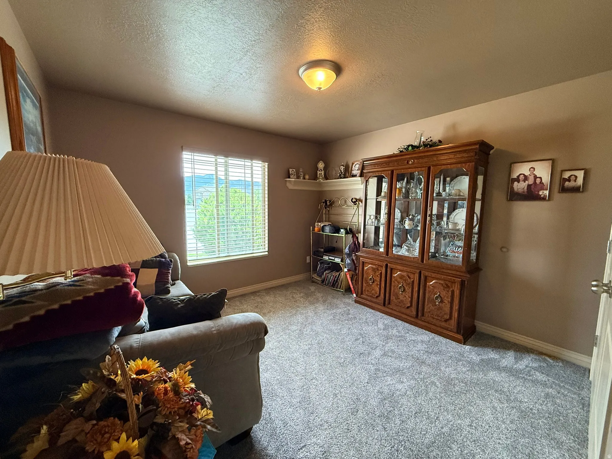 Carpeted room featuring a large window with horizontal blinds, a wall-mounted ceiling light fixture, and a built-in wall shelf