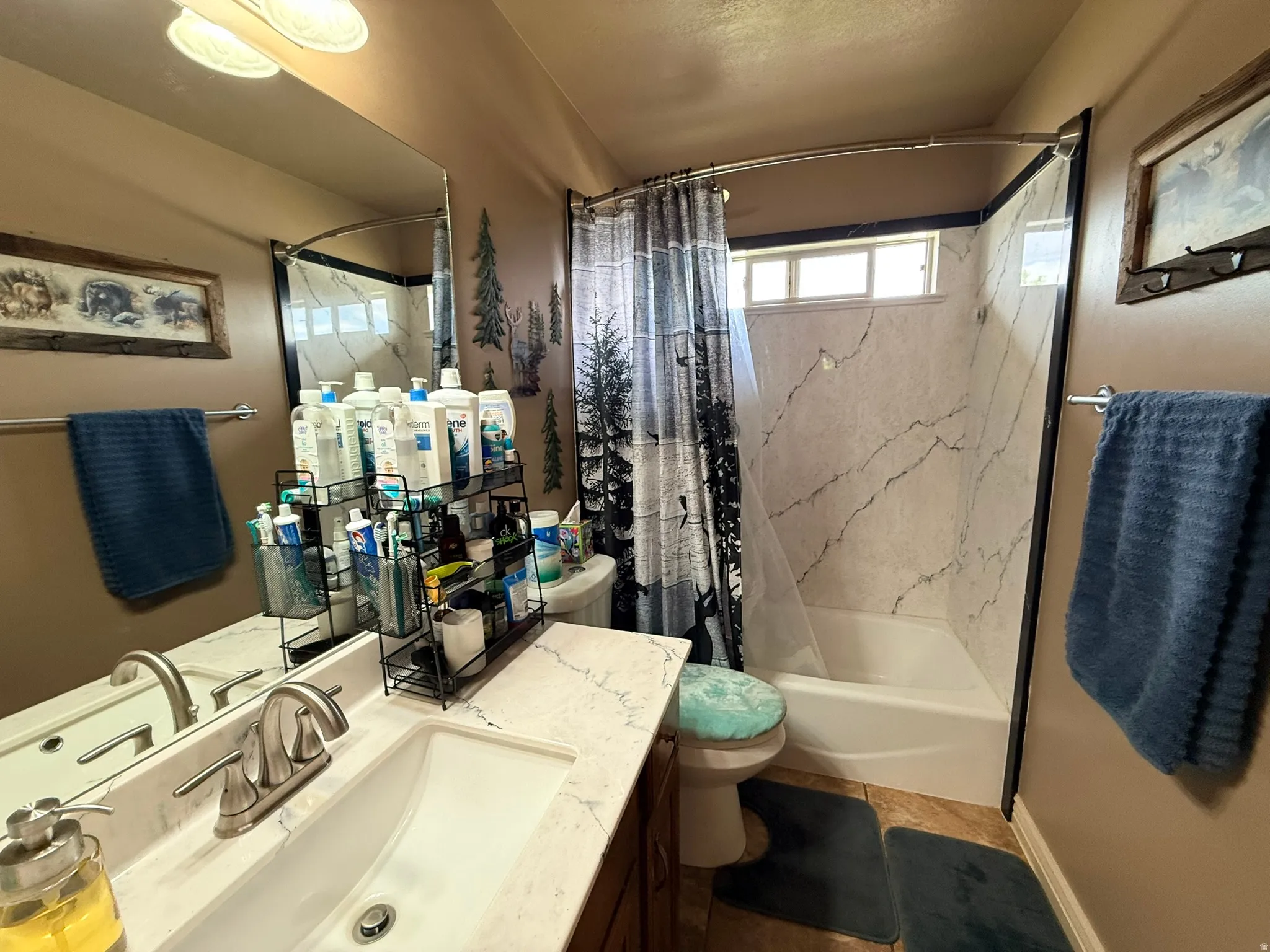 Bathroom vanity featuring a single basin sink with a two-handle faucet, set into a light-colored countertop