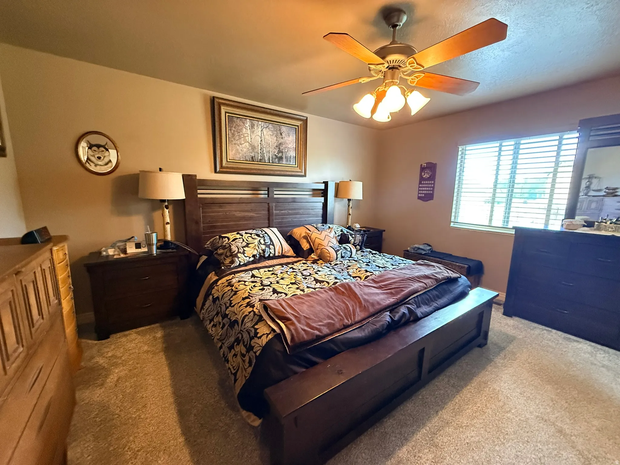 Spacious bedroom featuring neutral carpeting, a large window with horizontal blinds, and a ceiling fan with integrated lighting