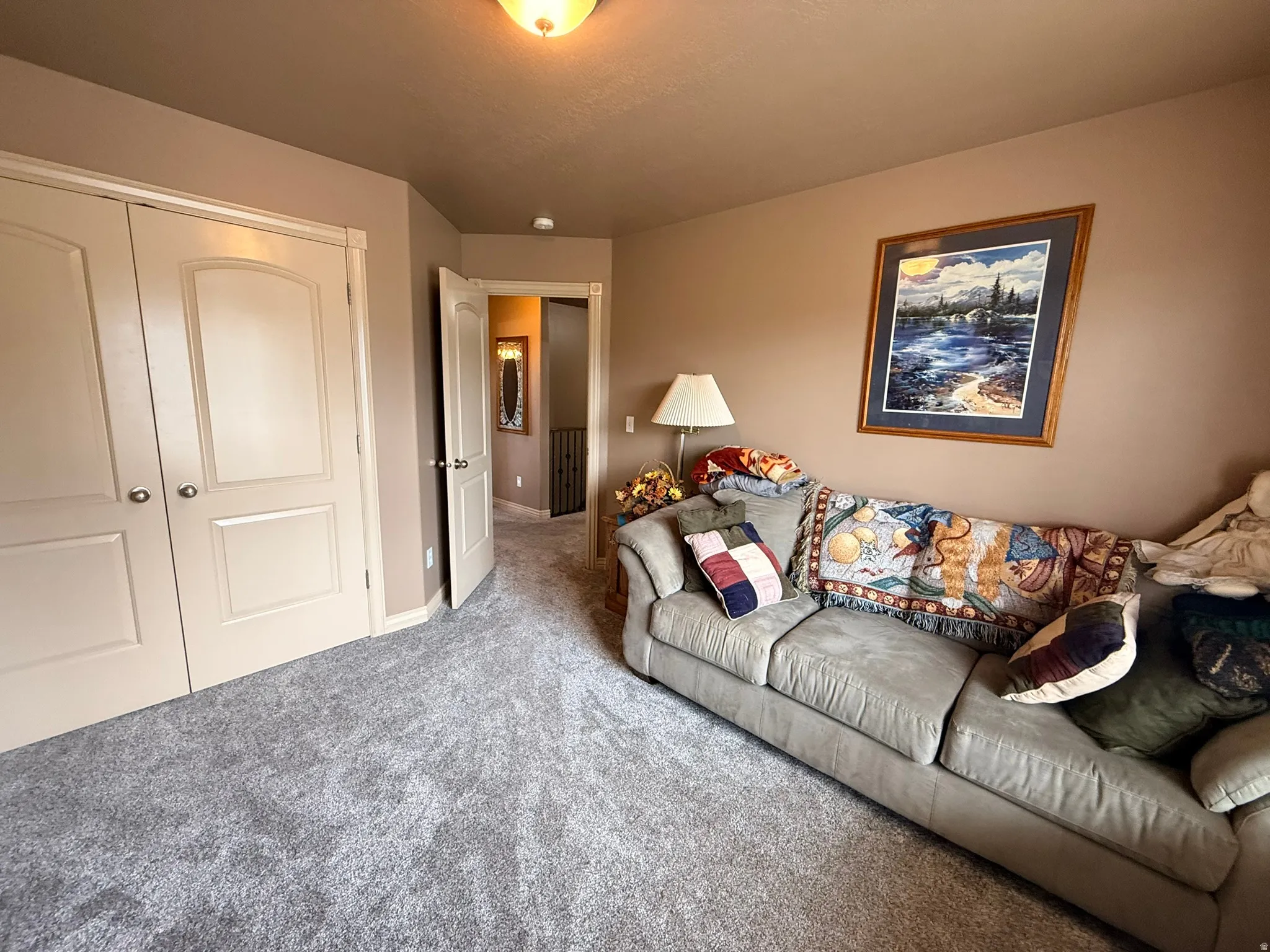 Plush gray carpeting throughout the room