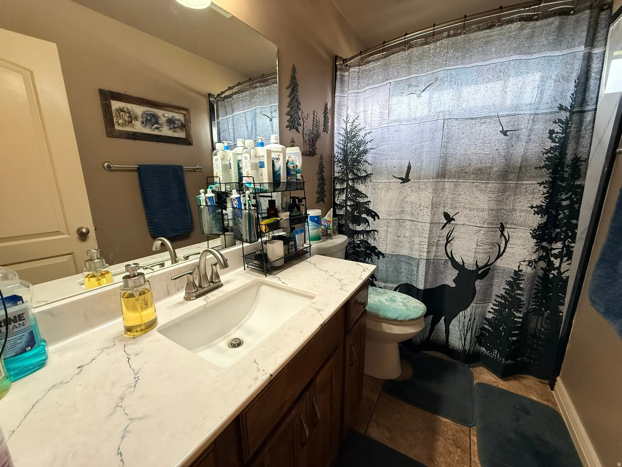 Bathroom vanity featuring a single basin sink, brushed nickel faucet, and a large wall-mounted mirror