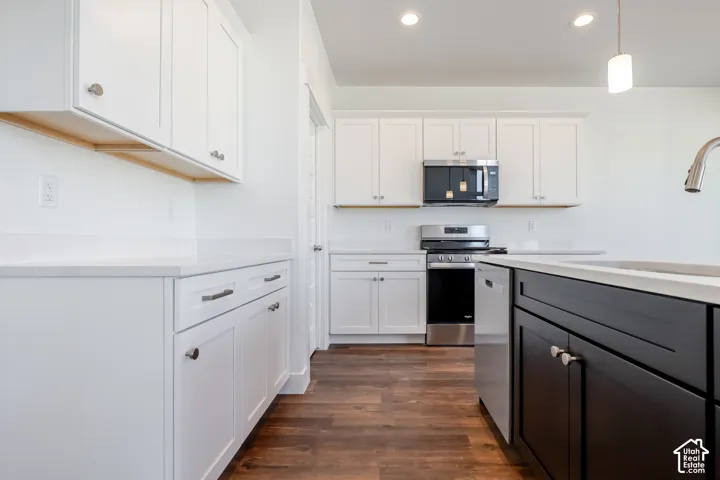 Kitchen featuring white cabinetry, dark wood-finish flooring, recessed lighting, and stainless steel appliances