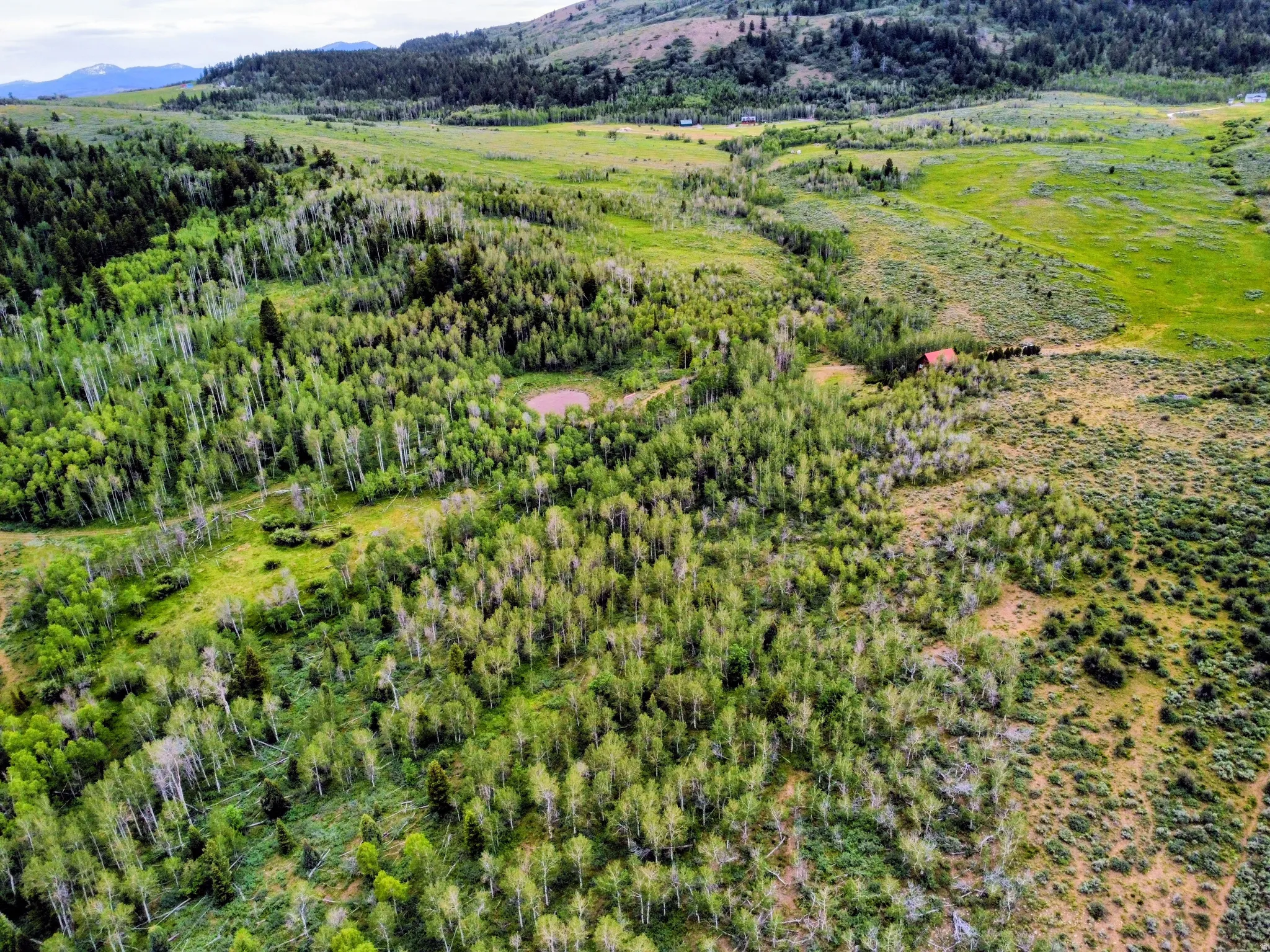 Expansive acreage featuring diverse natural landscapes, including dense woodlands, open fields, and rolling hills