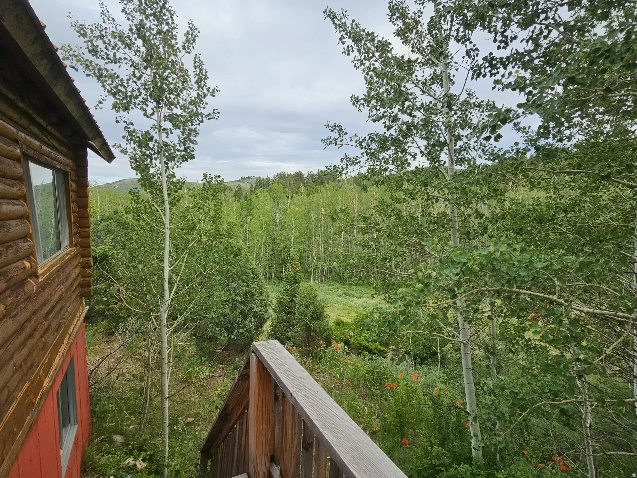 Log cabin exterior with a red base, featuring a wood-finish staircase and a dense tree-lined backdrop