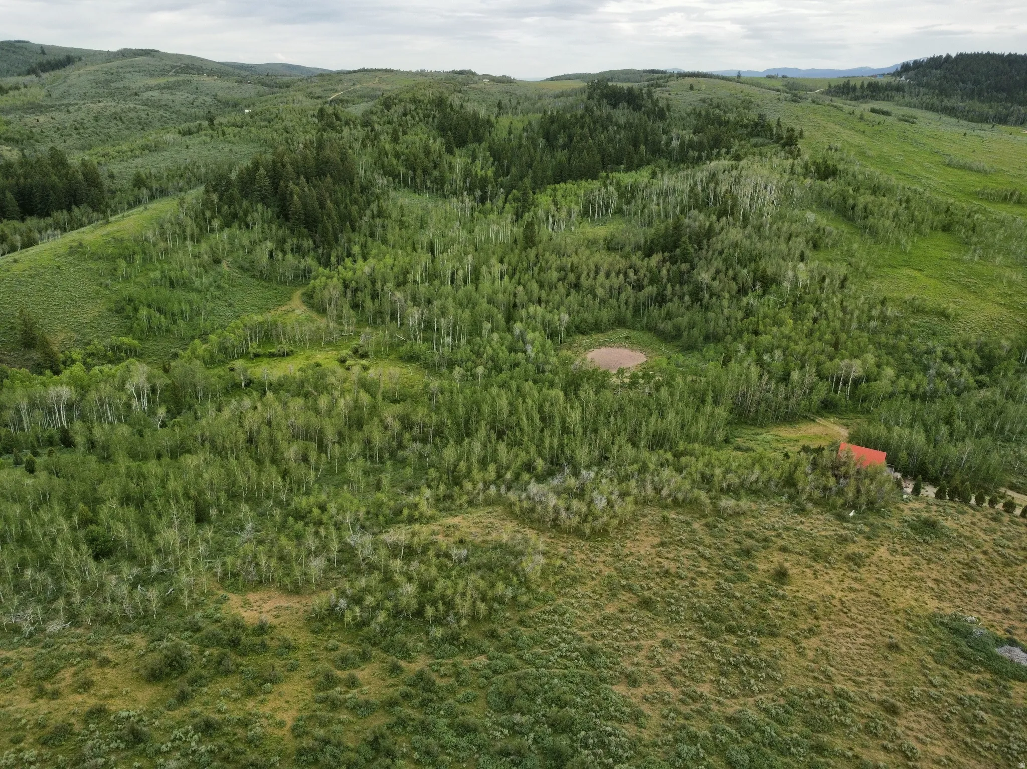 Expansive acreage featuring rolling hills and dense tree coverage
