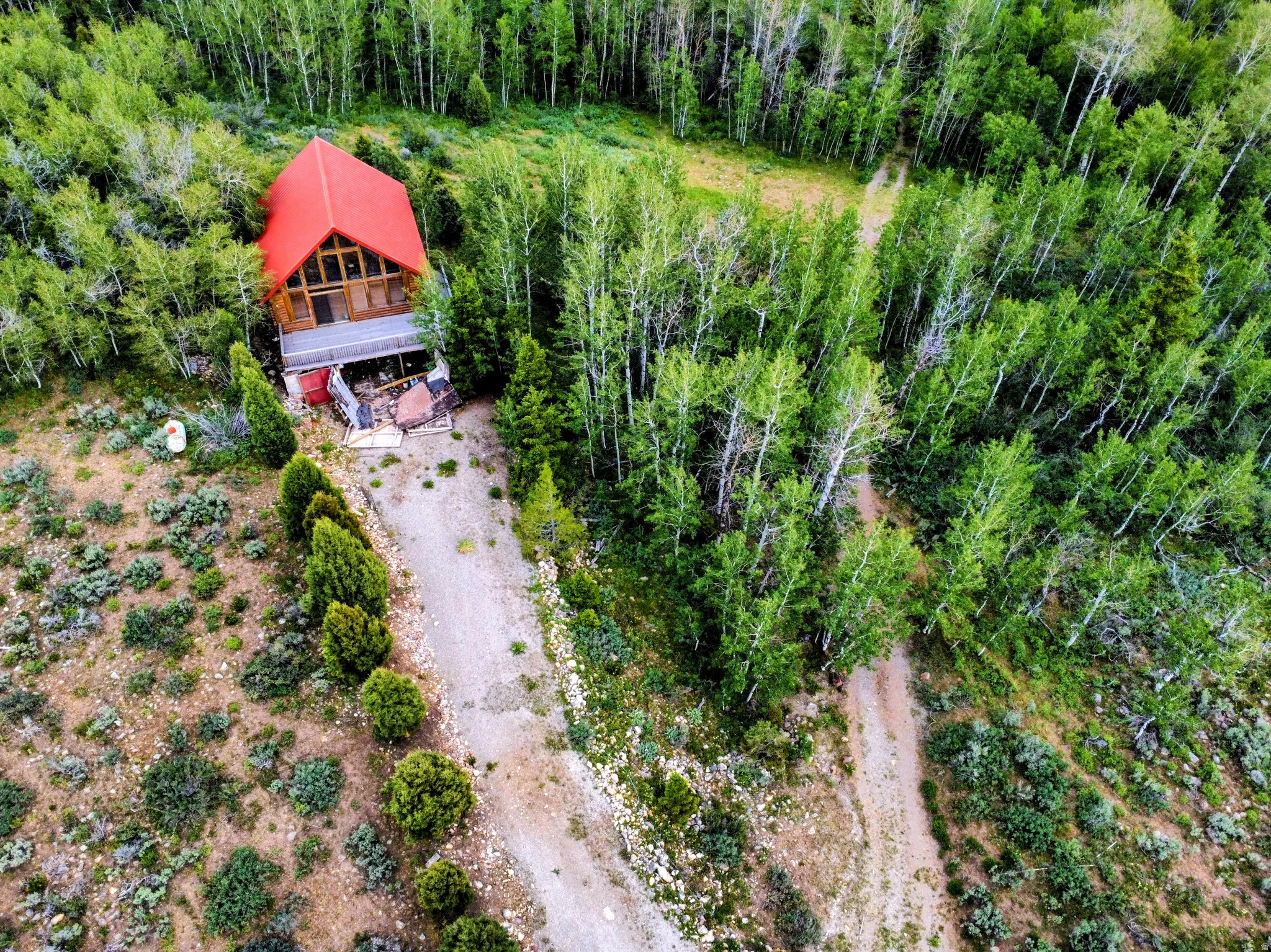 Wood-sided home featuring a bright red roof and multiple windows, surrounded by dense green forestry