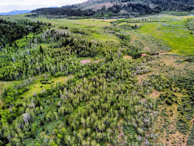 Expansive acreage featuring diverse natural landscapes, including dense woodlands, open fields, and rolling hills