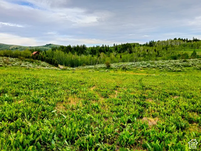 Expansive land parcel featuring open green fields, a distant red-roofed structure, and a backdrop of rolling hills with dense evergreen and deciduous trees