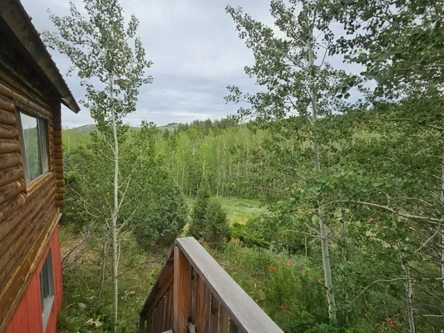 Log cabin exterior with a red base, featuring a wood-finish staircase and a dense tree-lined backdrop
