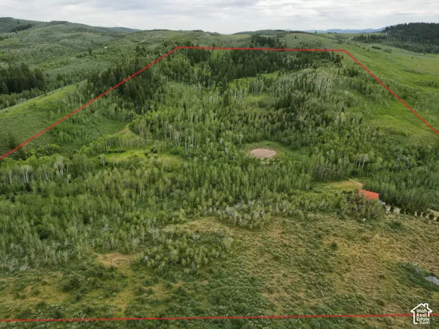 Expansive undeveloped land featuring diverse tree cover, a natural pond, and gently rolling topography
