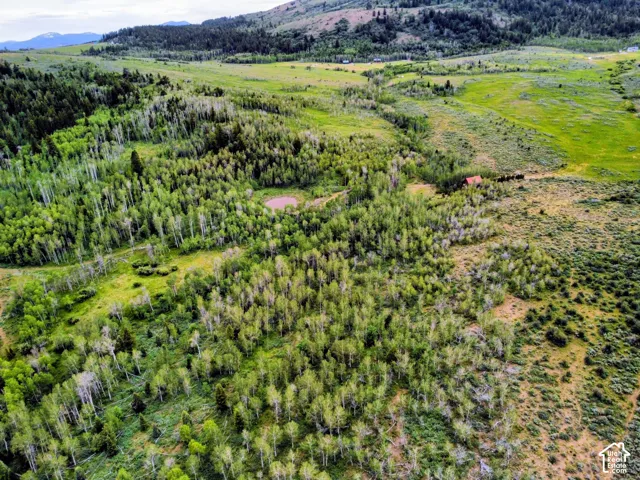 Expansive acreage featuring diverse natural landscapes, including dense woodlands, open fields, and rolling hills