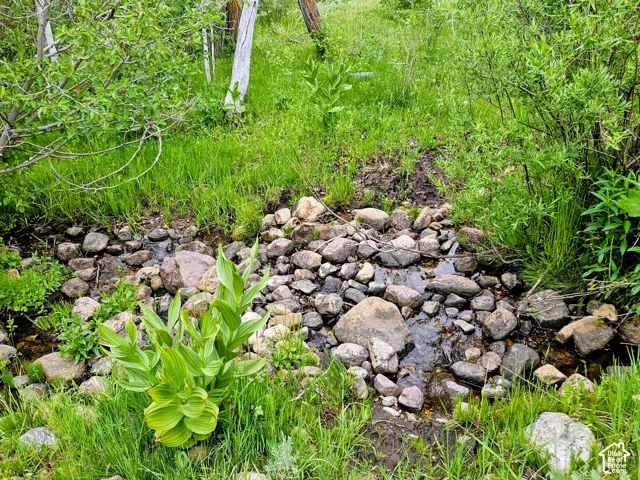 Natural stream bed featuring varied rock sizes and surrounding lush greenery