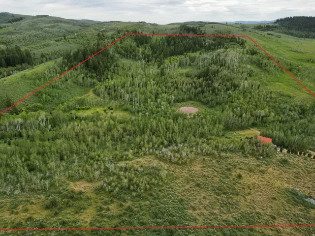 Expansive undeveloped land featuring diverse tree cover, a natural pond, and gently rolling topography