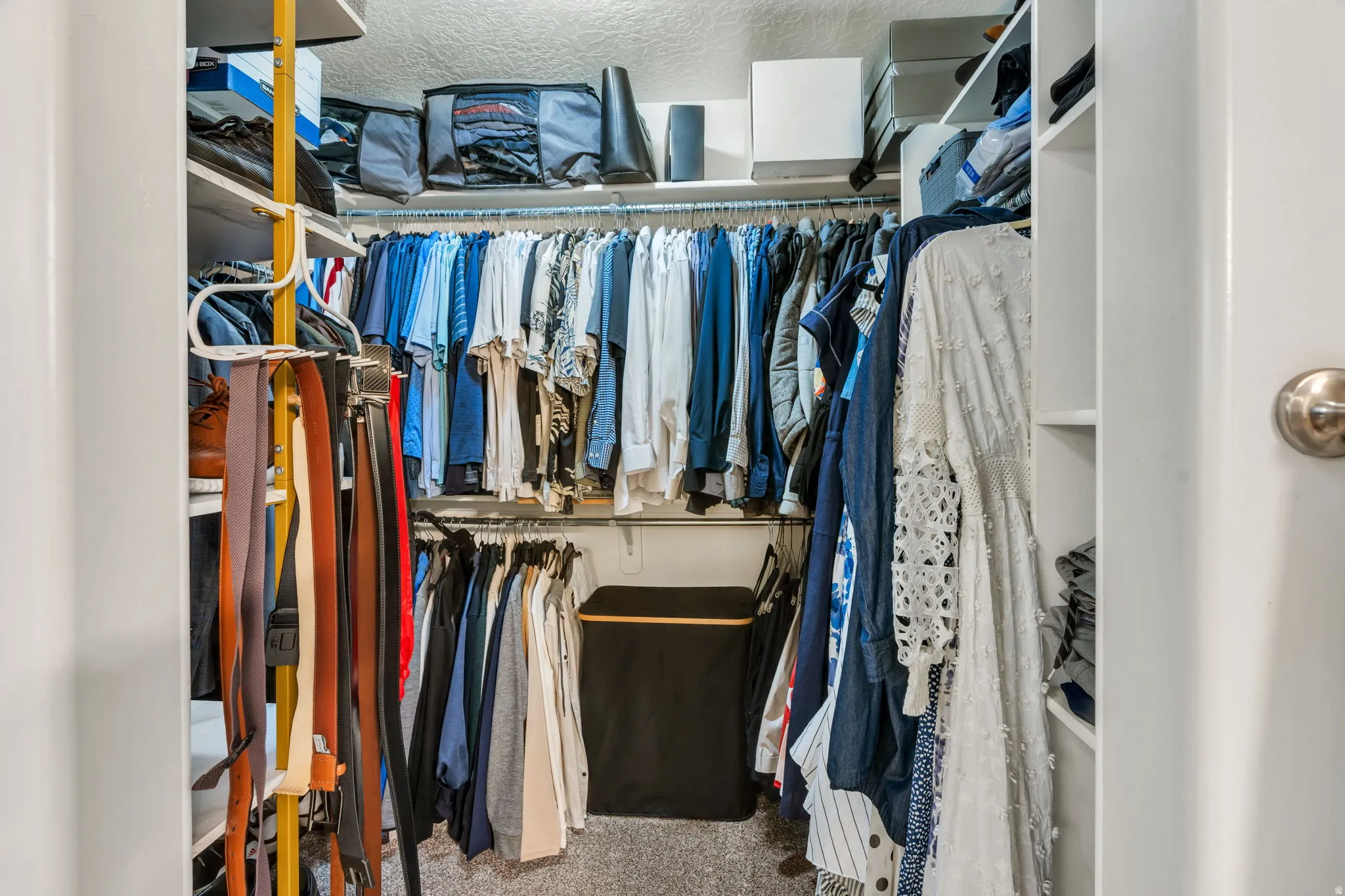 Walk-in closet featuring built-in shelving, multiple hanging rods, and textured carpeting