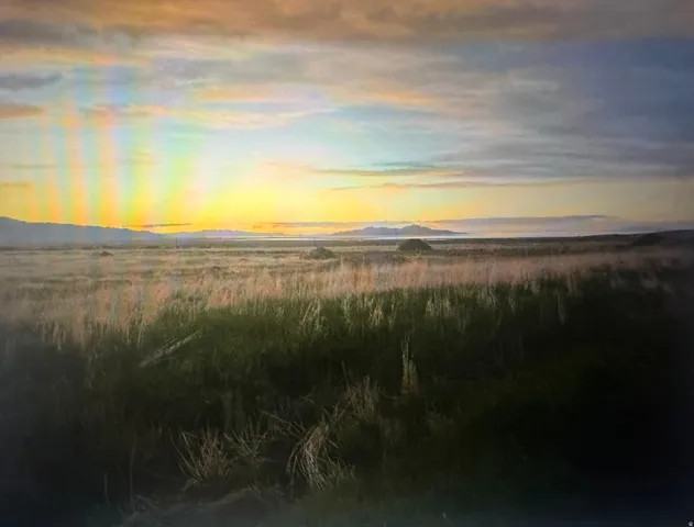Expansive open land featuring natural grasses and distant mountains