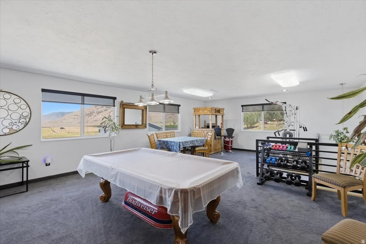 Spacious recreation room featuring carpet flooring and multiple windows