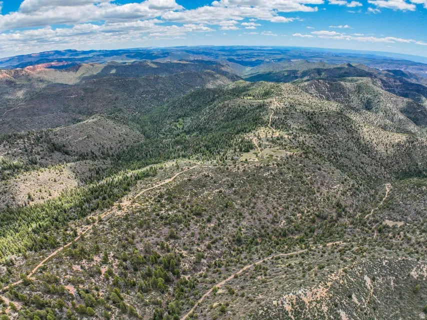 Expansive mountain terrain featuring diverse vegetation and winding dirt paths