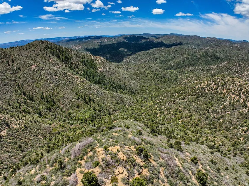 Expansive mountainous terrain with varying elevations and dense natural vegetation